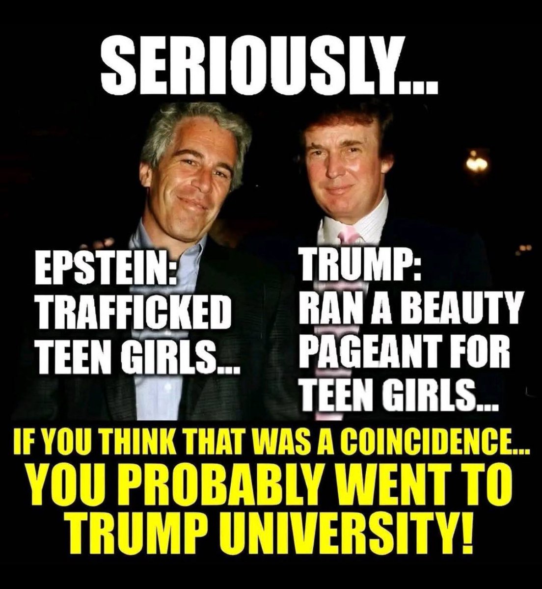 Ducks Can Resist Too tweet media