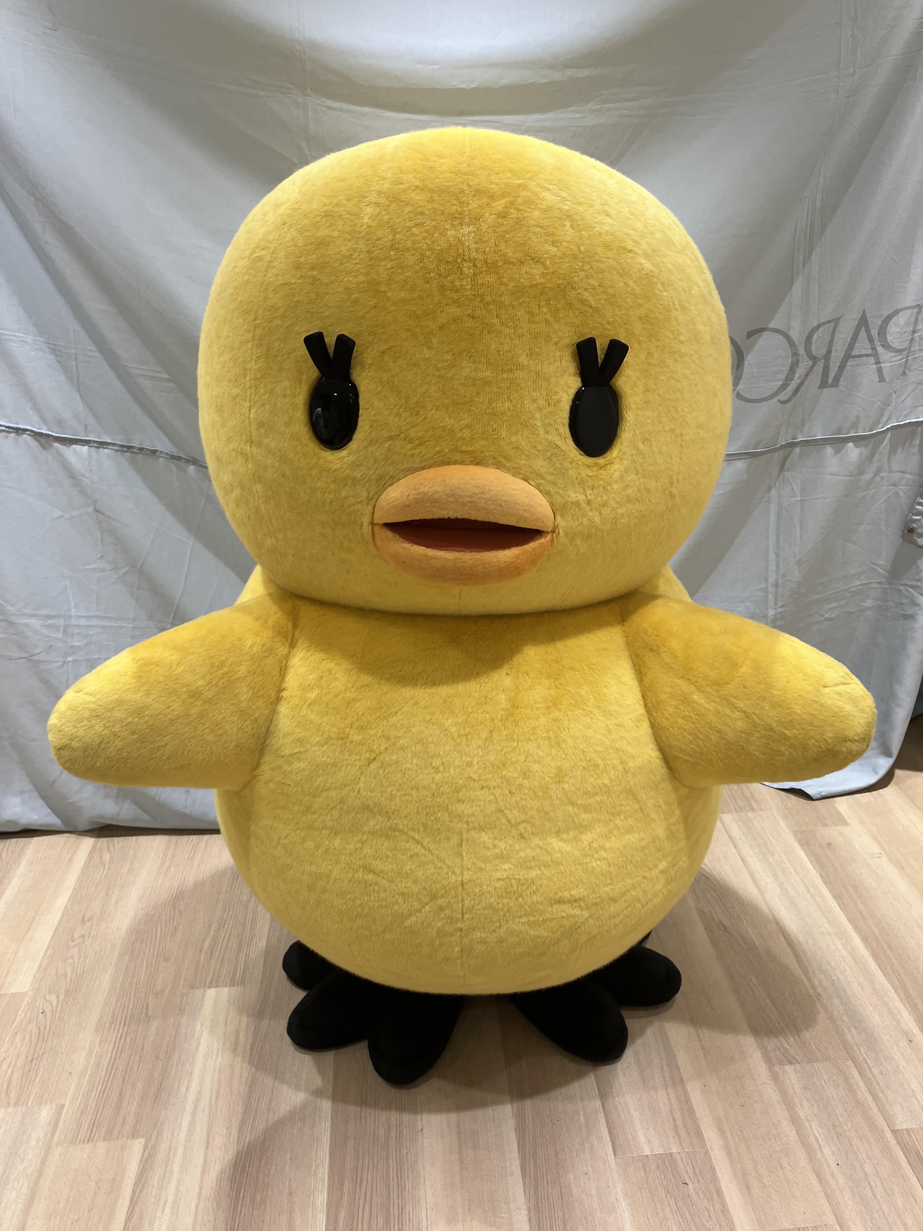 ちびよた ノリーズさんより、 ⭐️チビZX入荷！！ ZXが小さくなって登場