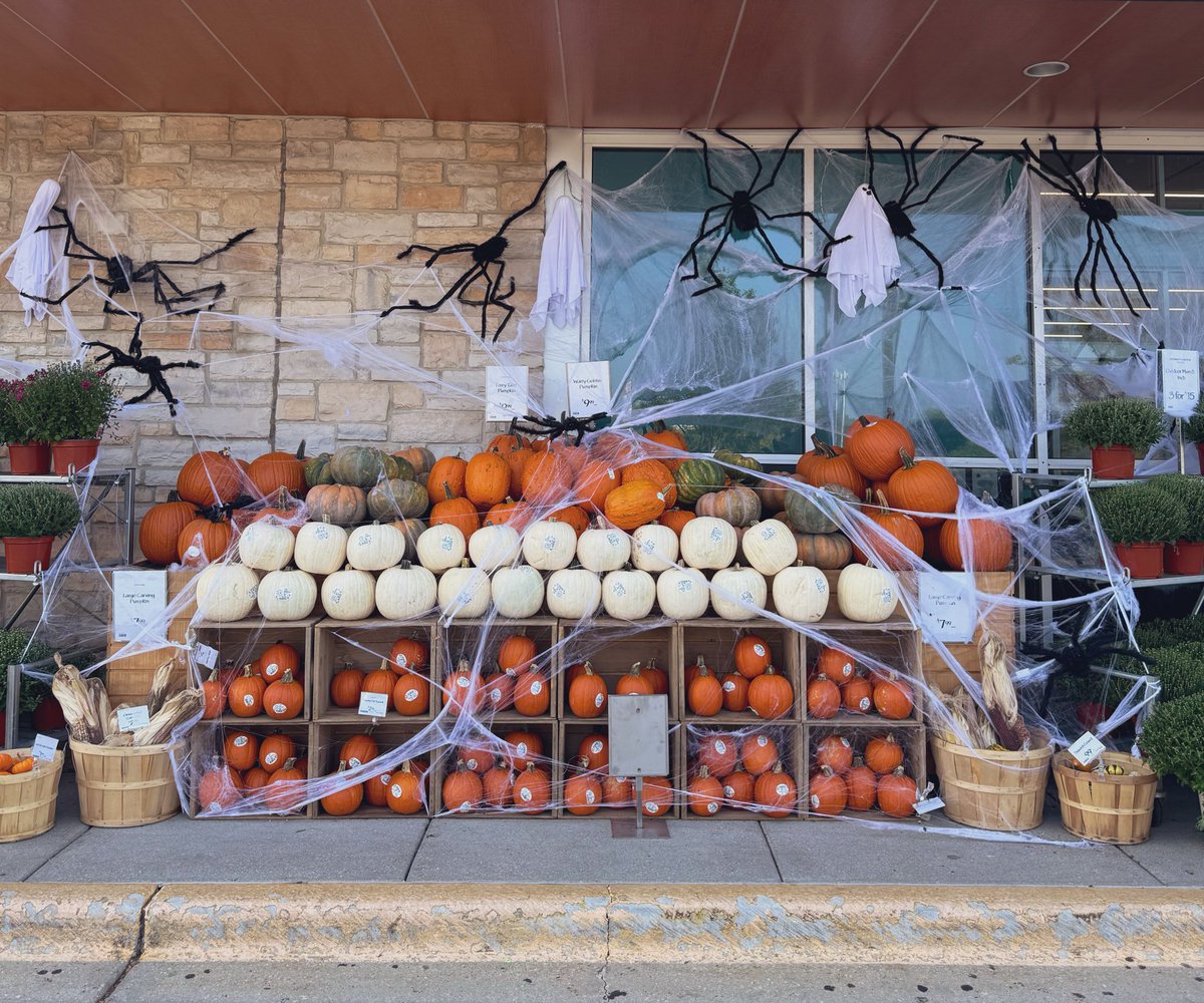 bunlardan balkabağı tatlısı yapılmaması asıl korkunç olan