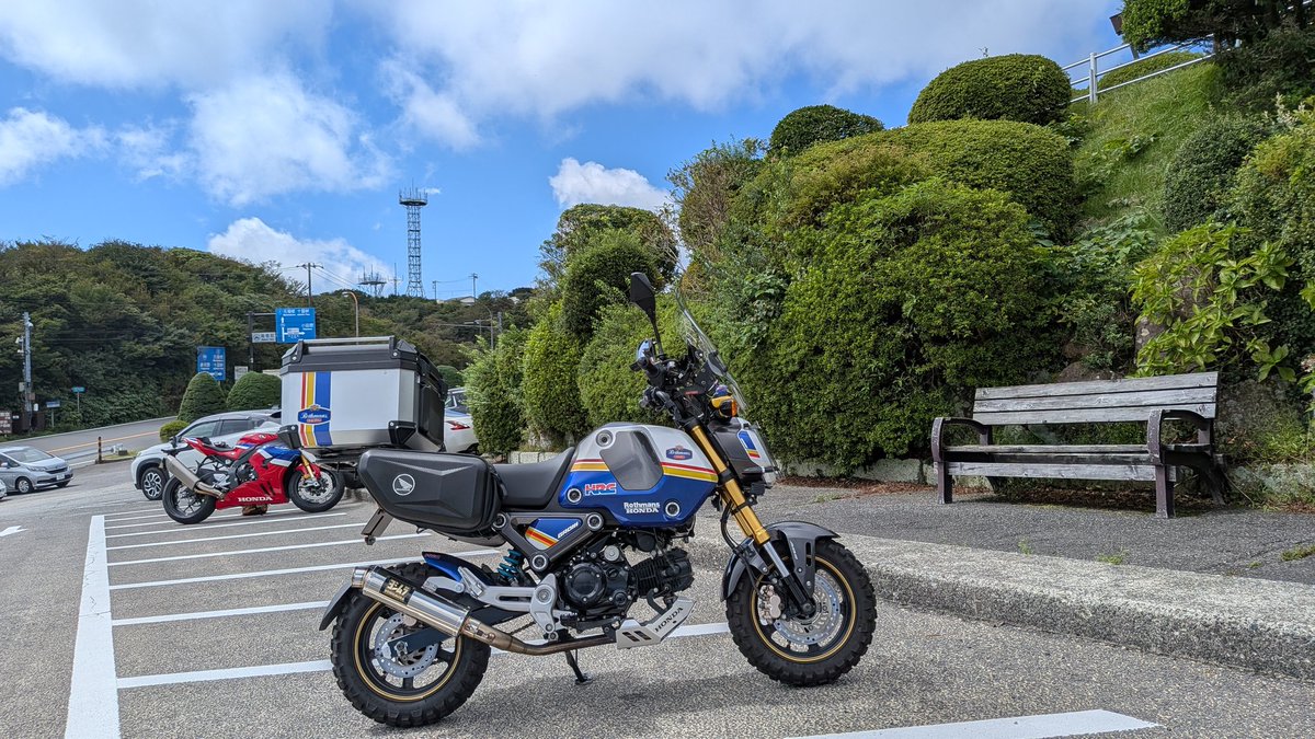 [引取限定]DARE VSRu xs 引取限定]DARE VSRu xs