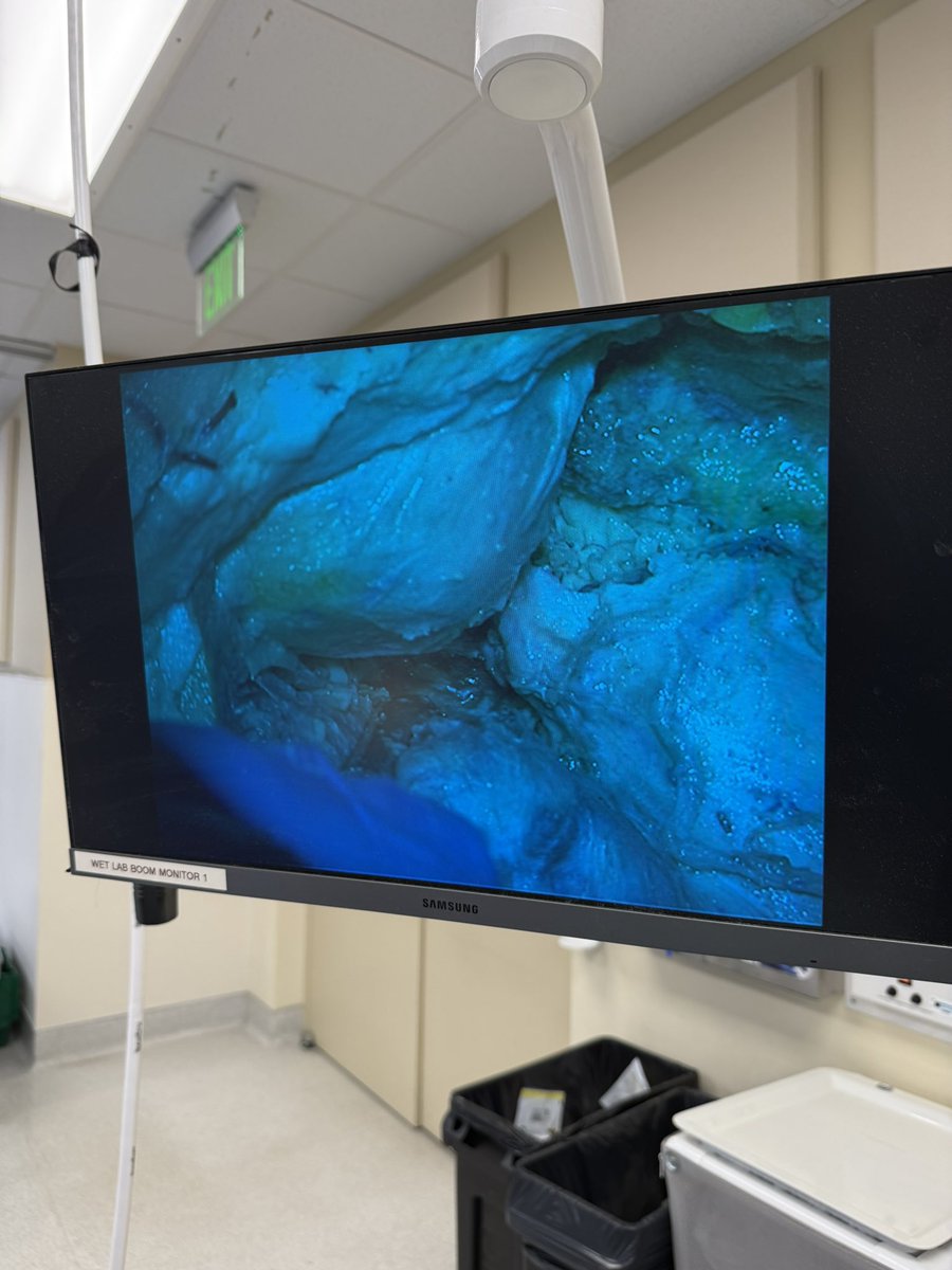 SamEmersonMDPhD's tweet photo. Another productive Saturday in the WISH lab for our residents, fellows and final round of sub-I’s. Drill the bone, leave the brain alone! #neurosurgery #nsgy #braintumor #skullbase #MedTwitter https://t.co/tU1WKLnn73