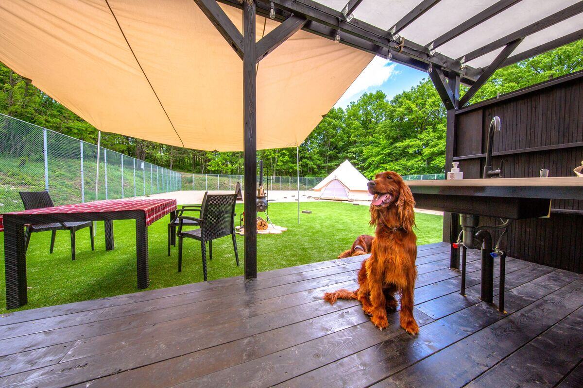 【おすすめ記事】
犬連れ歓迎！長野県でドッグフリーサイト完備のキャンプ場9ヵ所
ノーリードで愛犬とキャンプを楽しもう
👉lnky.jp/UaOFBc5

長野県の豊かな自然のなかで大切な家族とともに特別なひとときをお過ごしください🐶⛺

#県公式観光サイトGoNAGANO 
#長野県
#キャンプ場