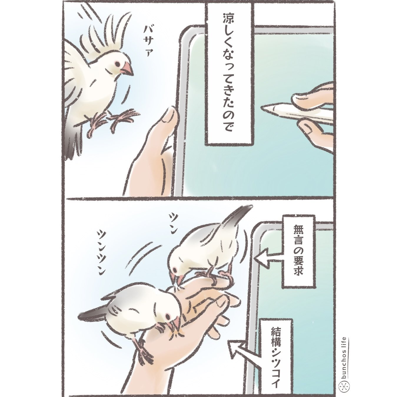 こむぎ様 こむぎ(パン屋さん🍞) (@komugi_962) / X