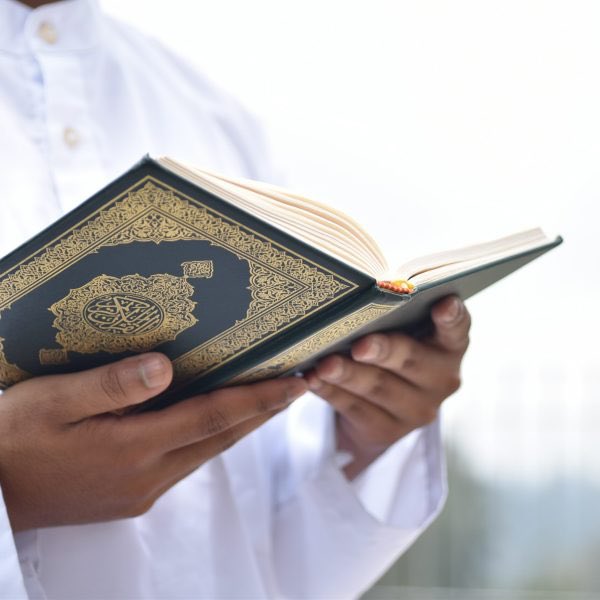 محمد الخربوش tweet media