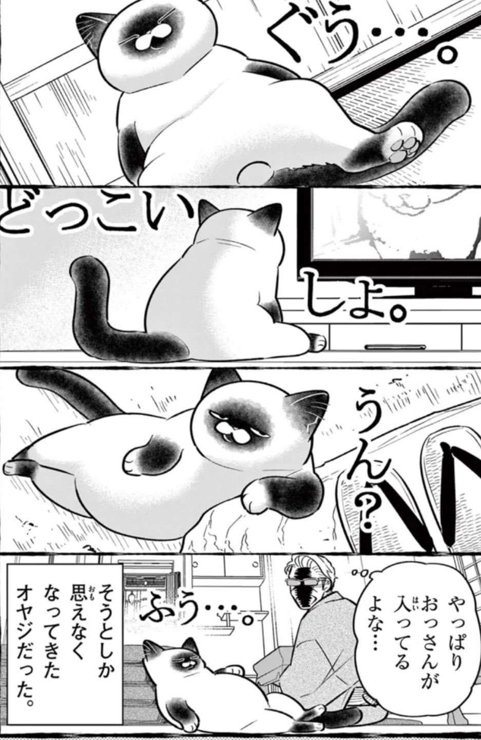オヤジとにゃん吉🐾公式 (@oyazitonyankiti) / X