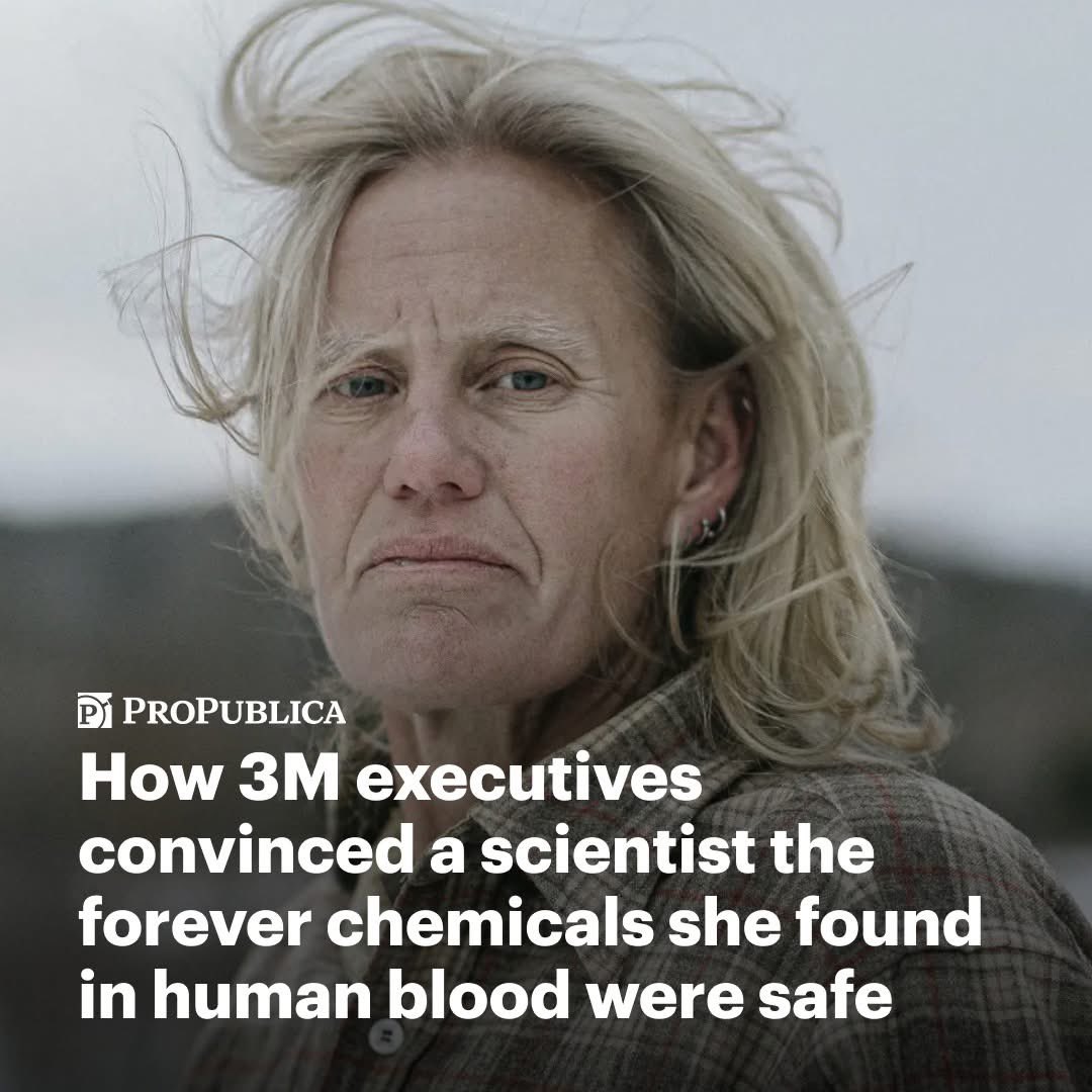 Excellent article. Great read. 📖 

For chemist Kris Hansen, 3M was a family affair; her father was a creator of the company’s N95 face masks.

Yet, after she found 3M’s forever chemicals in human blood, the company repeatedly doubted her work and stopped her research on the