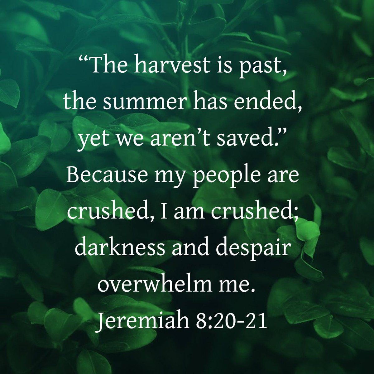 Lectionary's tweet image. Jeremiah 8:20-21 CEB
[20] “The harvest is past, the summer has ended, yet we aren’t saved.” [21] Because my people are crushed, I am crushed; darkness and despair overwhelm me.

bible.com/bible/37/jer.8…