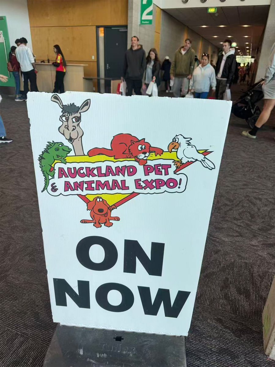 dogadogo2023's tweet image. ✈️ DGDG traveled to Auckland, New Zealand to finalize our upcoming artist collaboration.
We were also honored to be invited to join the Auckland Pet Expo, showcasing our vision for stylish &amp;amp; functional pet wear.Stay tuned — the co-creation pieces are coming soon! 🎨🐾
#DOGADOGO