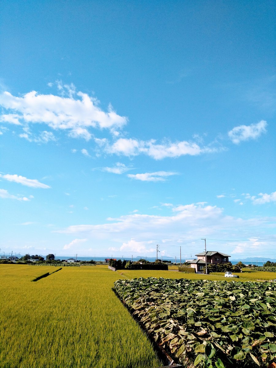 MMページ⭐︎風景　写真 久々に純粋に東京夜景🙌🏻🌃 六本木ヒルズからのこの景色5年前