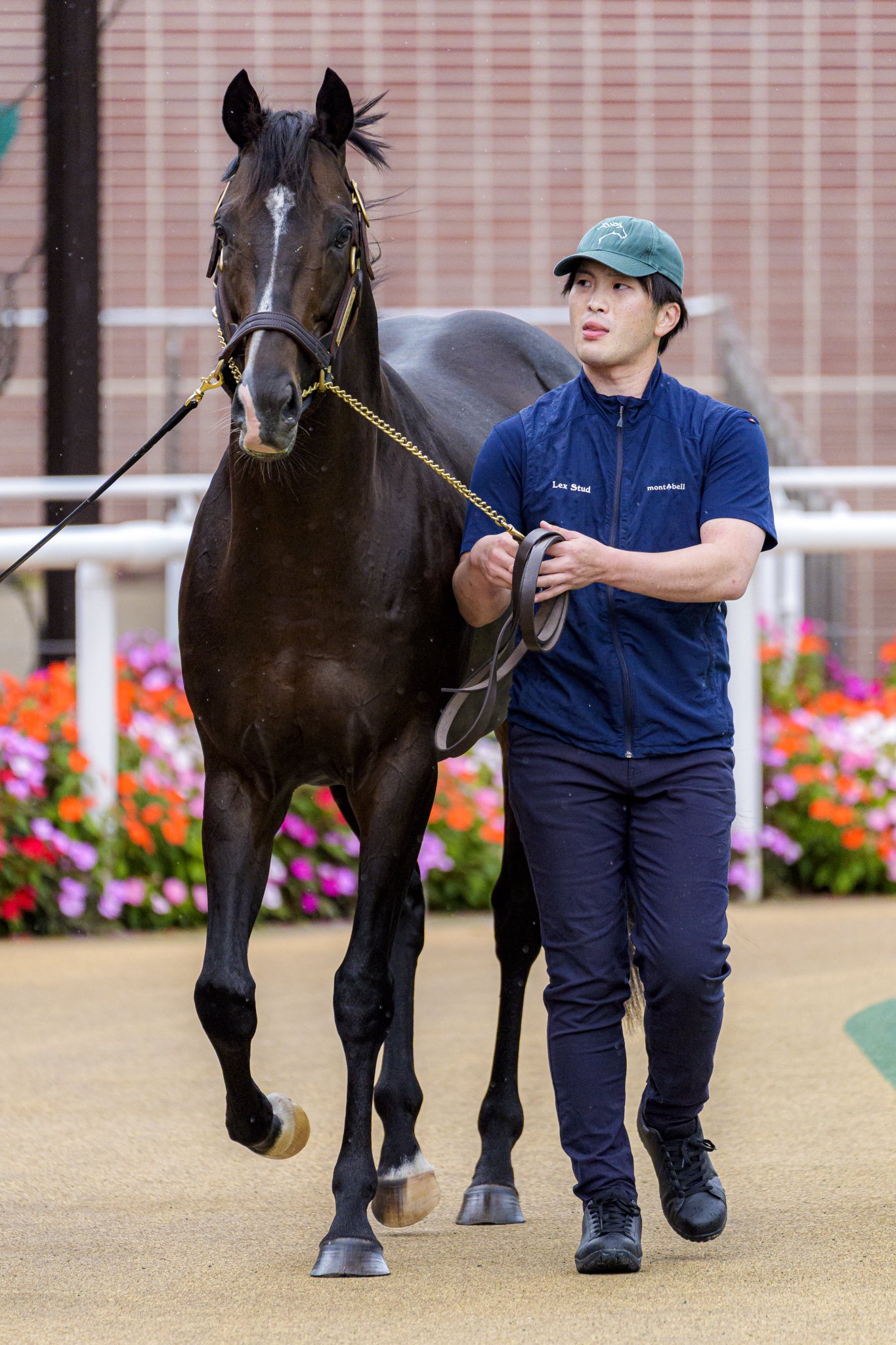 貴重 金城武 撮影で使ったキーホルダーとテレカ 森永ダース 高田村交易所】アクリルキーホルダー（Is） – karel-shop