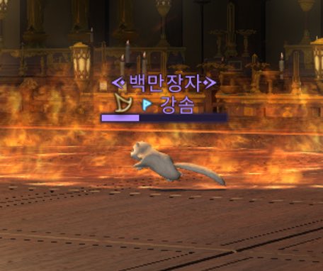 육근산에 가면 좀 아프지만 하늘다람쥐가 될 수 있는 기회를 얻으실 수 있습니다. 초절정 귀요미가 될 절호의 찬스 !