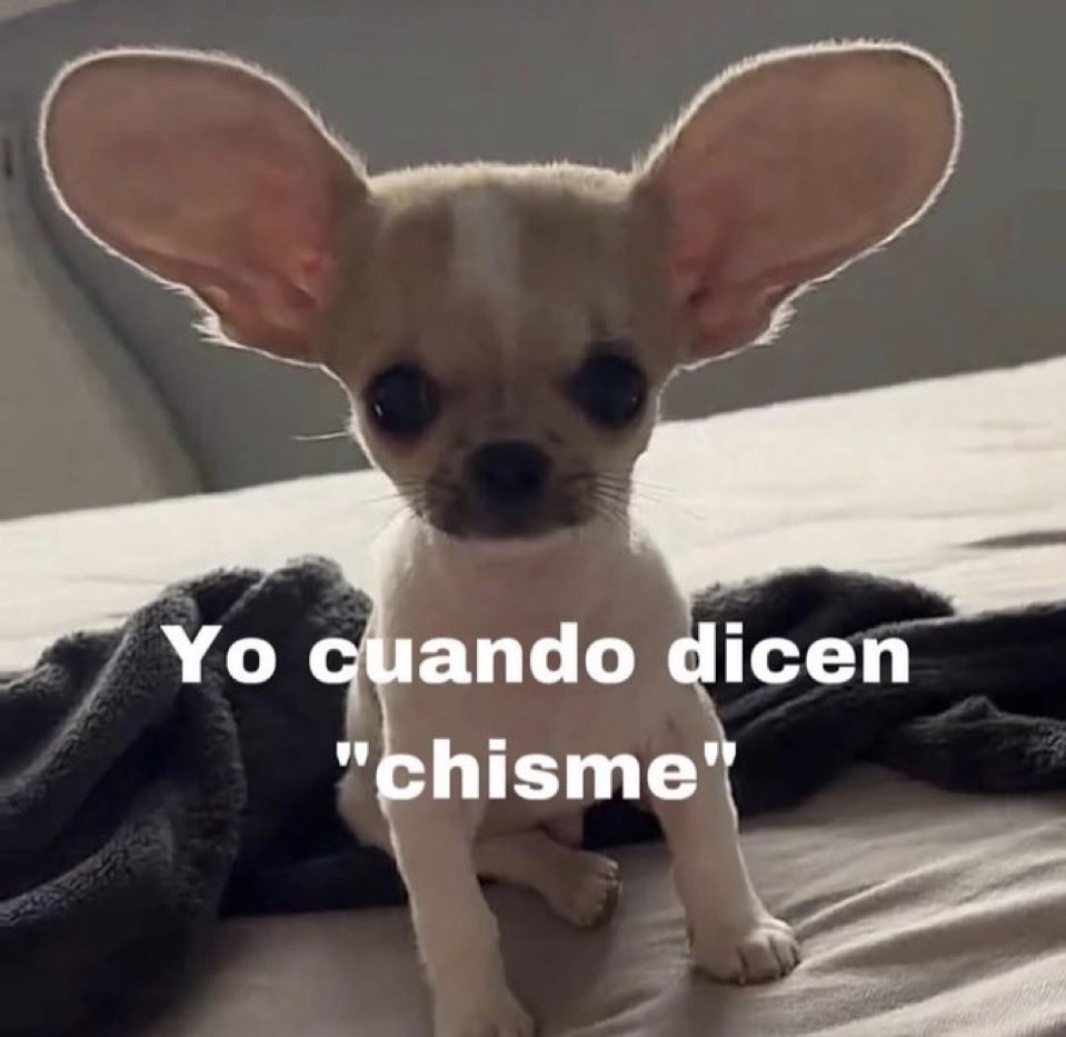Metrosexual (@crixtobalon) on Twitter photo 