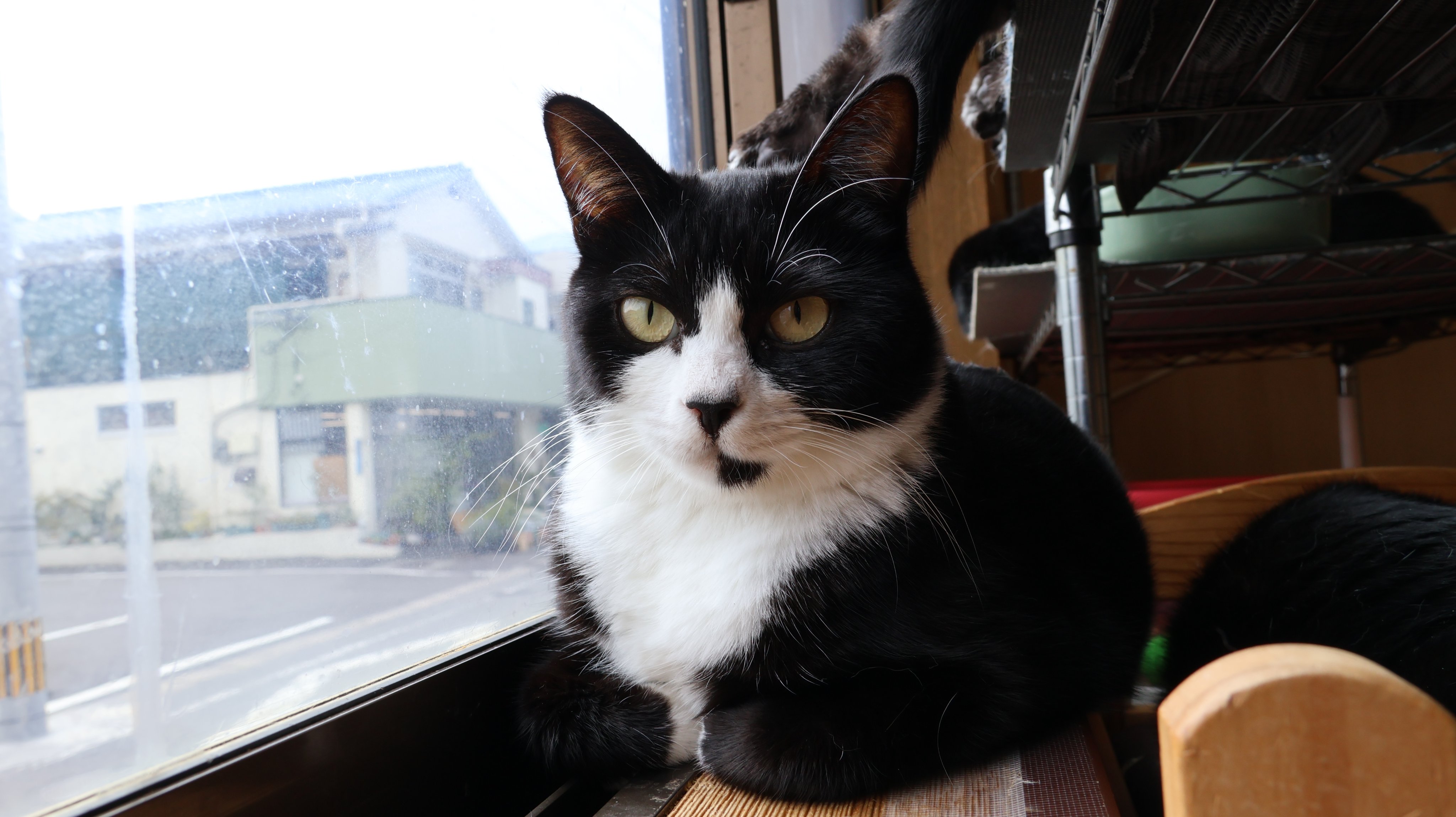 The TV (@watch1332) / X