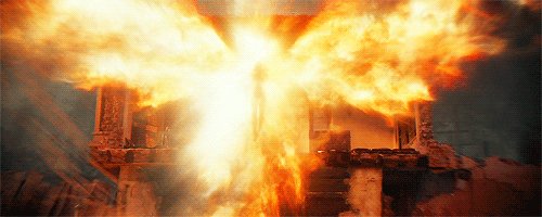 D4RKPHOENX's tweet image. 