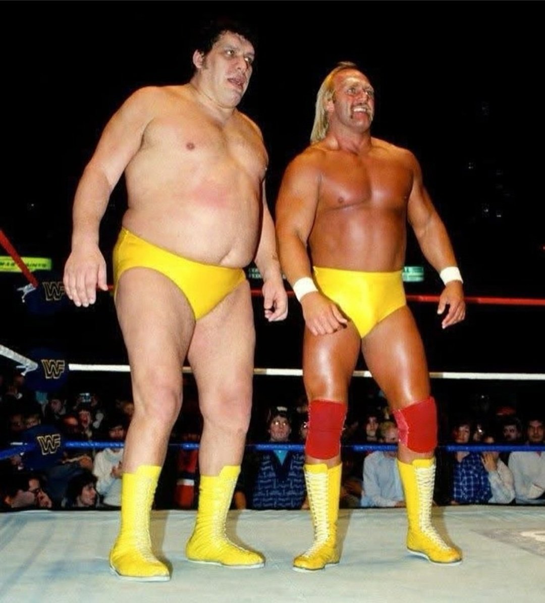 1984 Ljn WWF ハルク・ホーガン　アンドレ・ザ・ジャイアント 1984 Ljn WWF ハルク・ホーガン アンドレ・ザ・ジャイアント