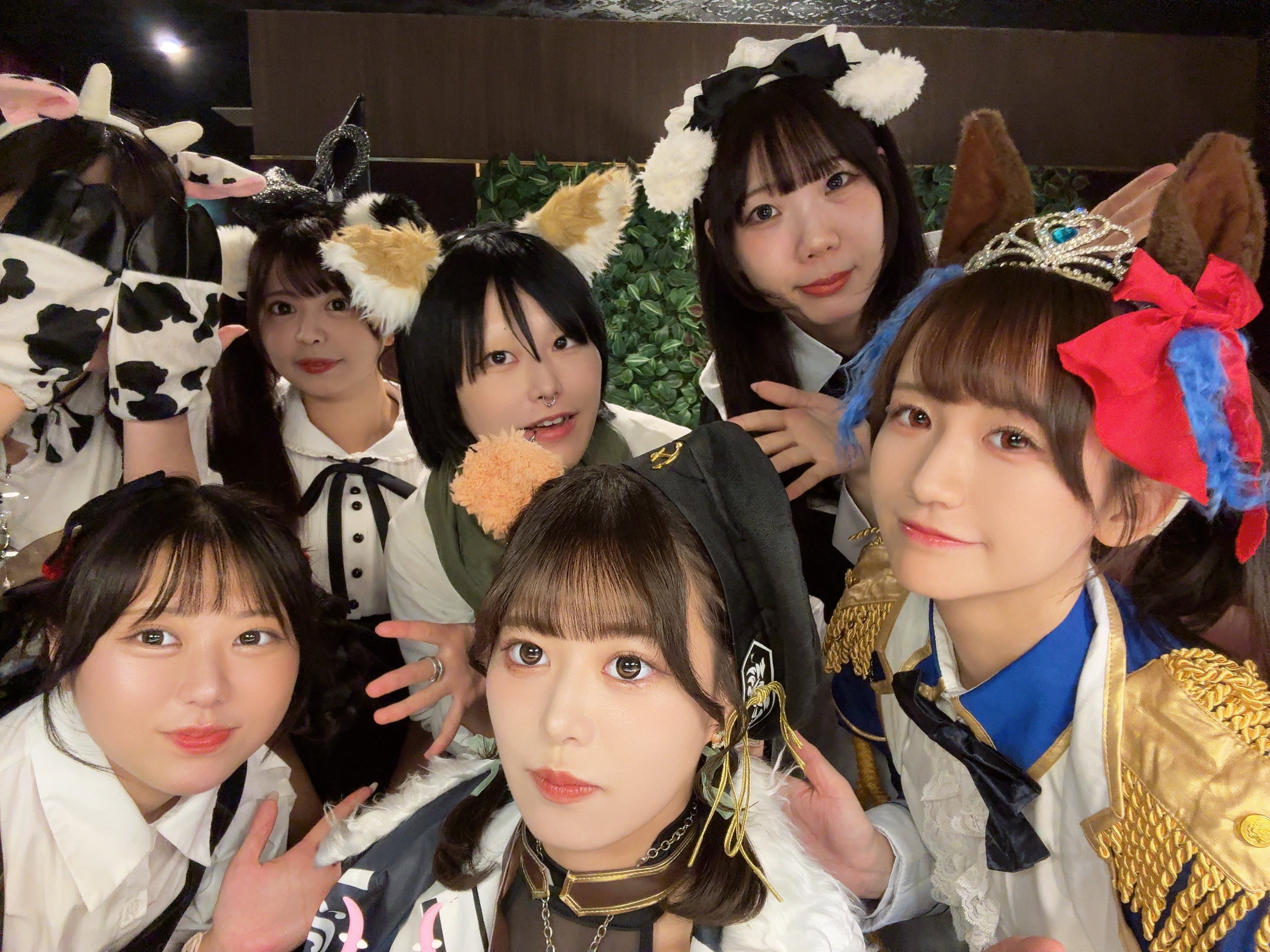メイド喫茶とまり木🕊️ on X: 