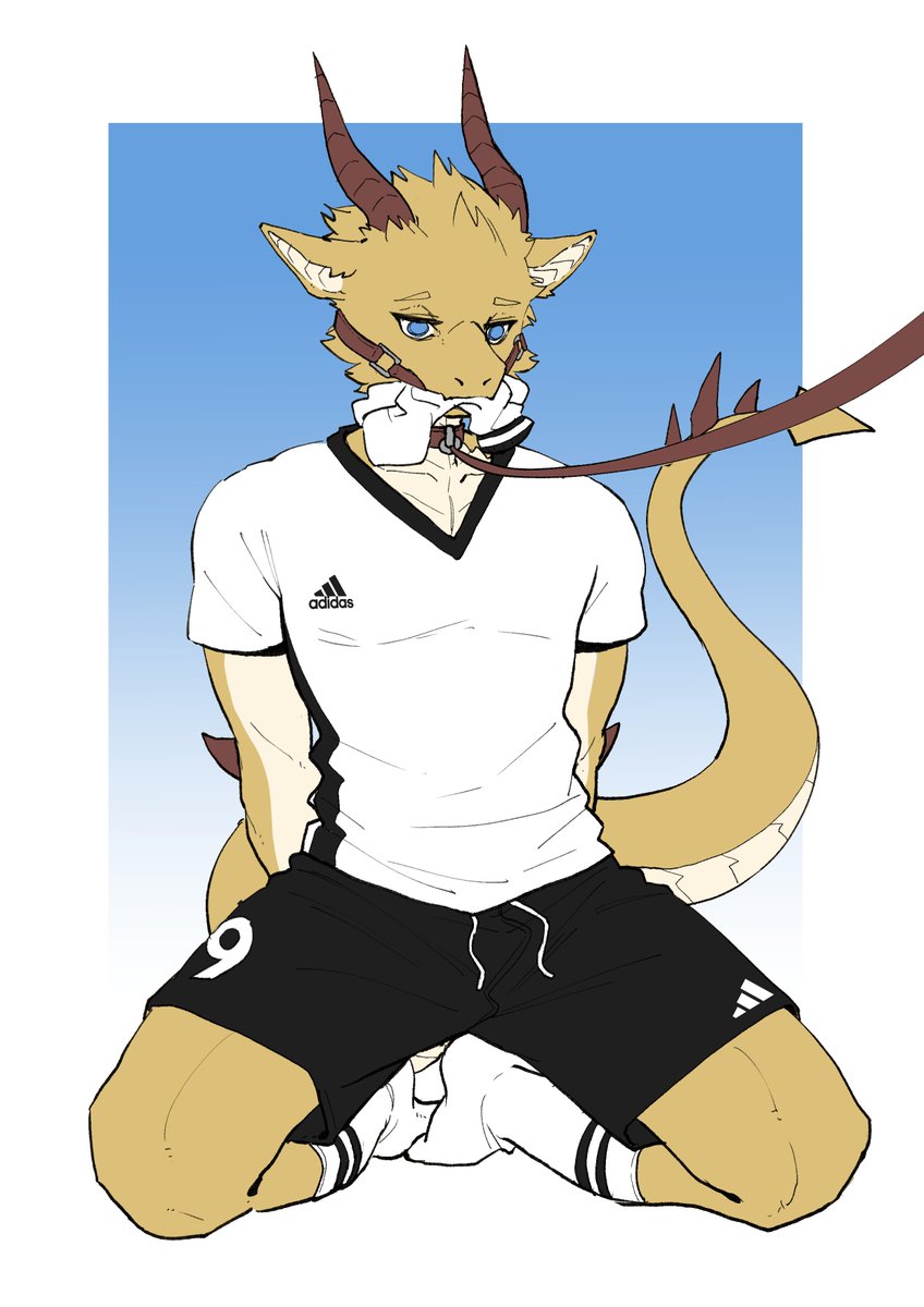 渺小之熊 tweet media