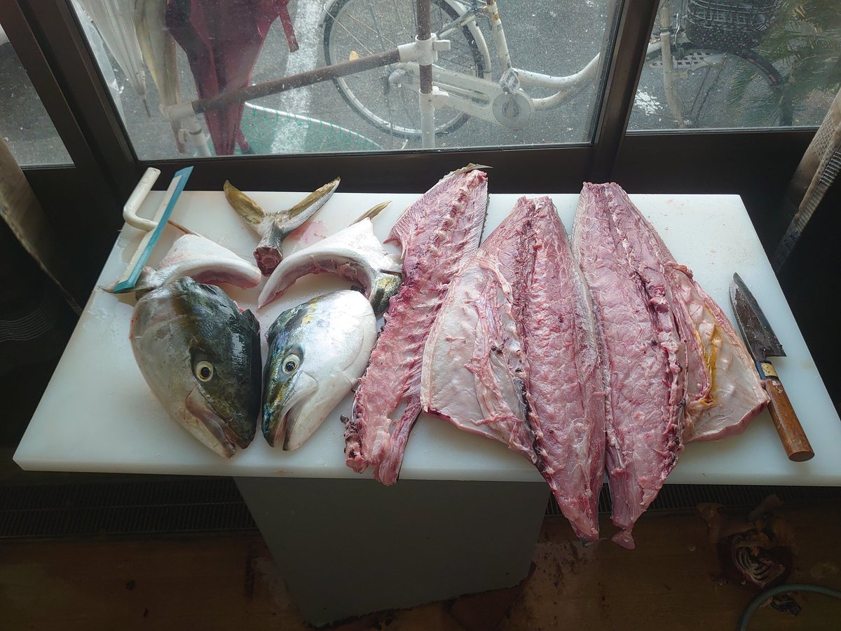 hamuhamuozawa's tweet photo. 今日の釣果

疲れ果てました
いいね&amp;リツ返し
致しません🙇🙏(_ _) https://t.co/Zkmkvts77h