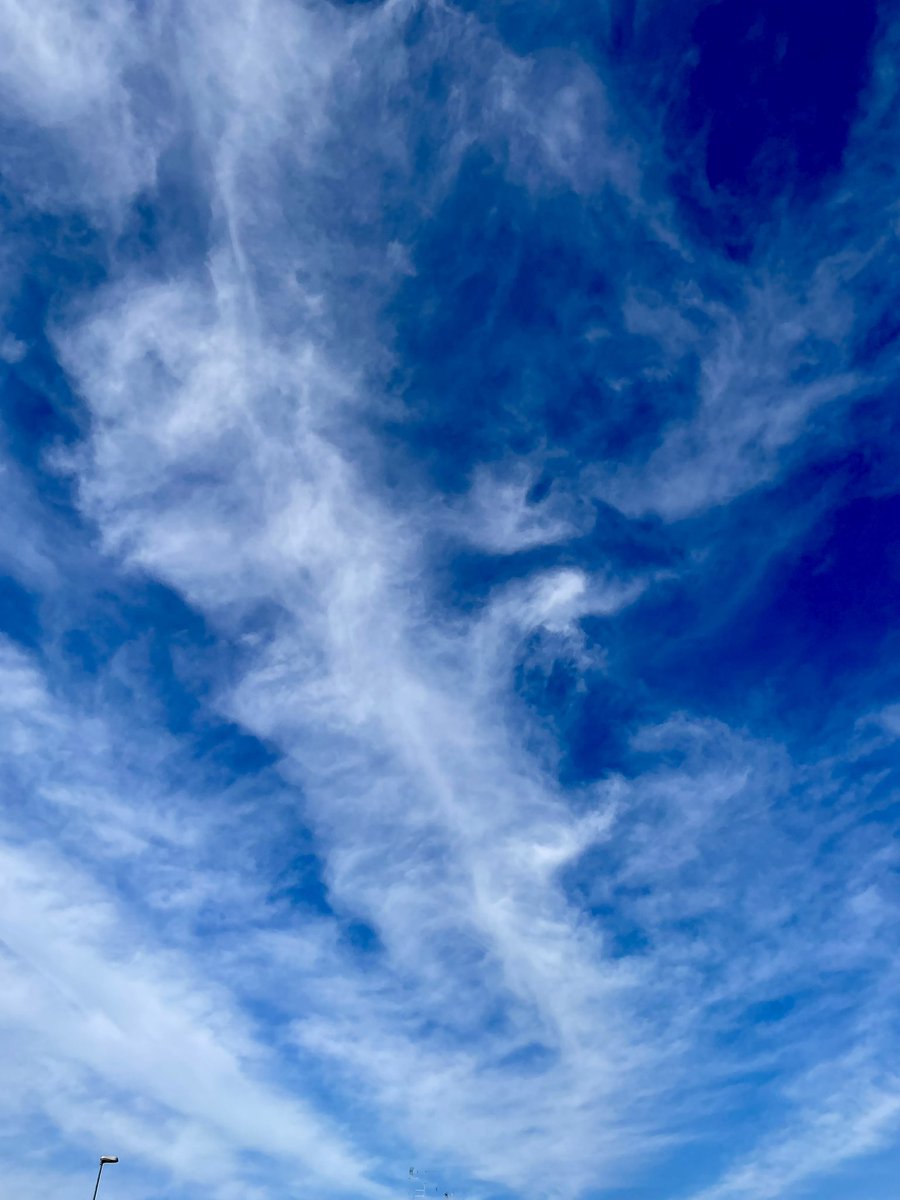 Anelida89's tweet photo. Sempre così… testa alta a guardare il cielo e mente offuscata tra i pensieri…

#Buonadomenica ☕️ https://t.co/TL01Kza3XJ