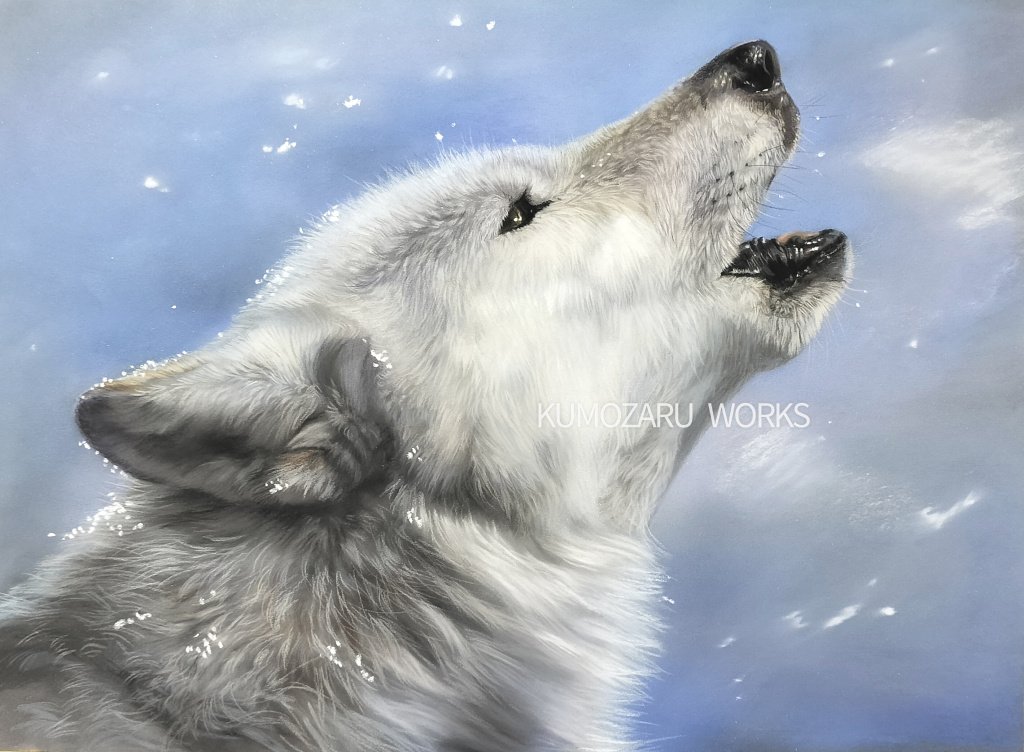 淡雪の狼 色鉛筆画 パステル 淡雪の狼 色鉛筆画 パステル fcc36103caae589894f28c959c8ccc