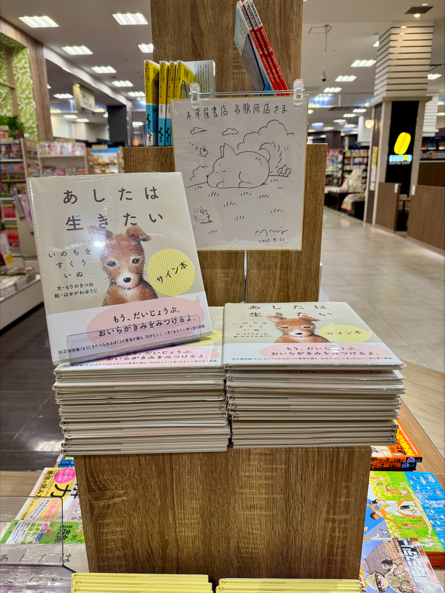はせがわゆうじ　額装　サイン有り はせがわゆうじ先生のサイン会 | 〓東広島〓 sariette ~サリエット~
