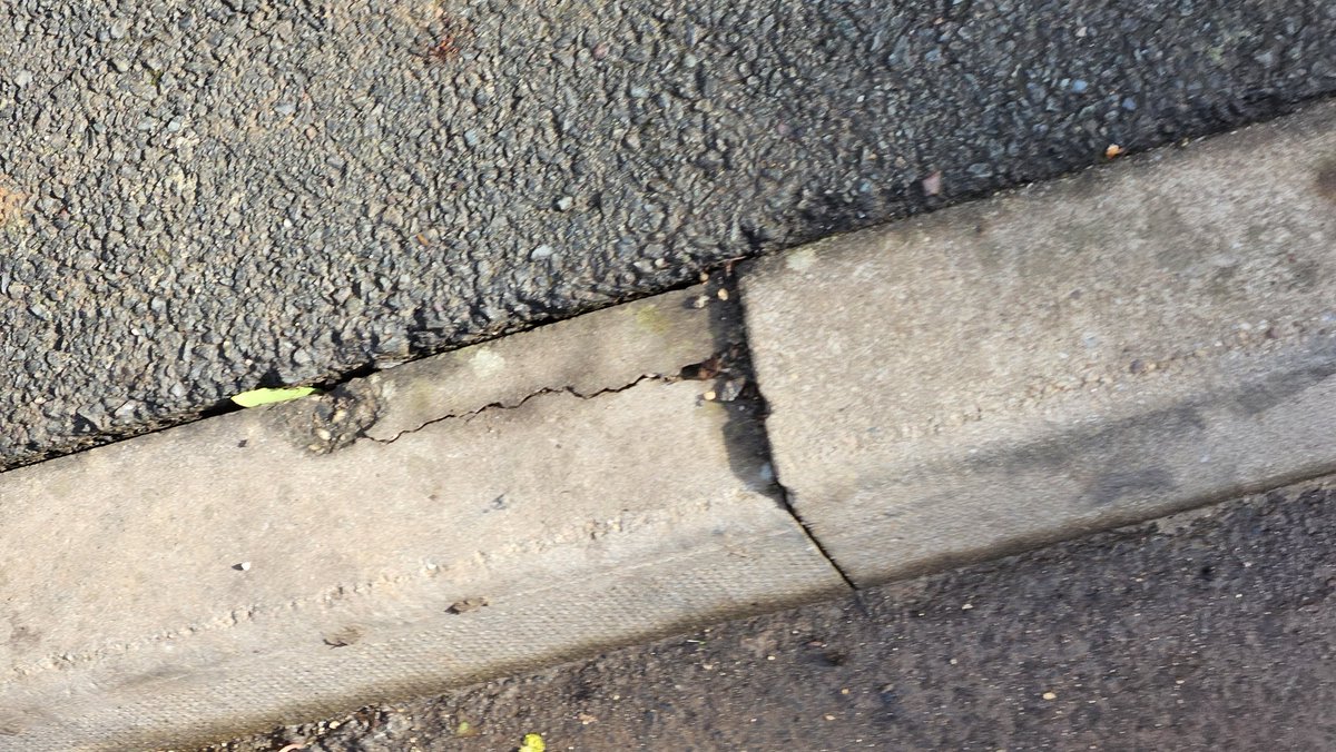 Lord Wardle of Fidelis Civitas🍐🍐🏴󠁧󠁢󠁥󠁮󠁧󠁿 tweet media