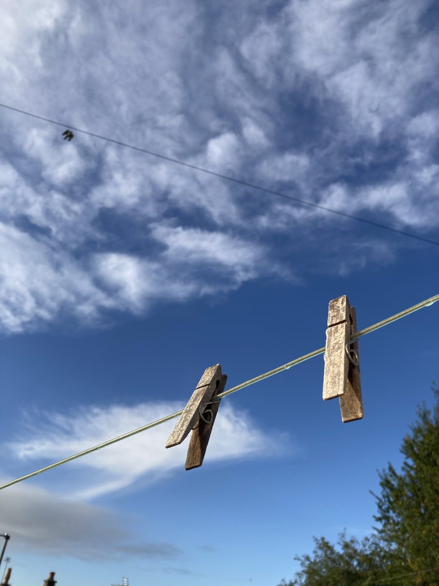 madeleinemaste4's tweet image. #overtheline 
#outback #Sunday 
It finally stopped raining 
Fly free 🌟