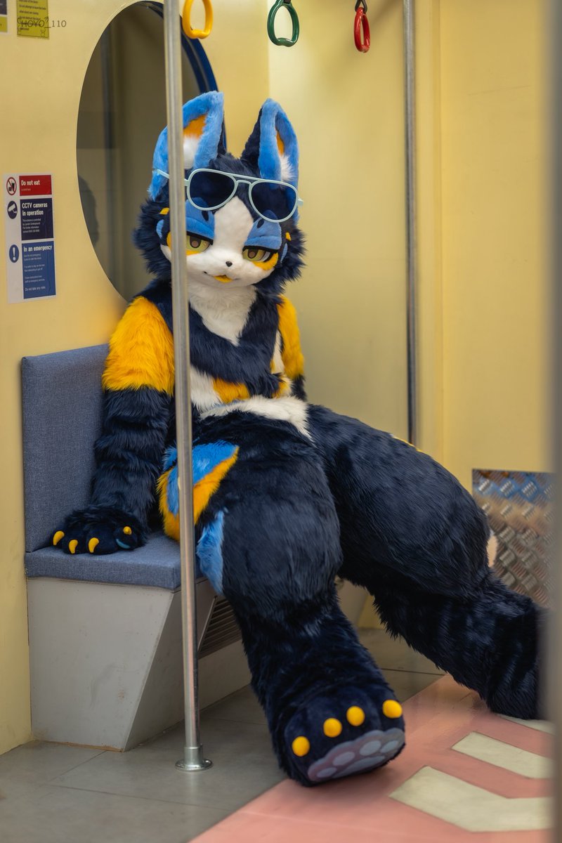 #FursuitEveryday
#𝙇𝙪𝙖𝙝𝙣🌙

나랑 같이 가자✨