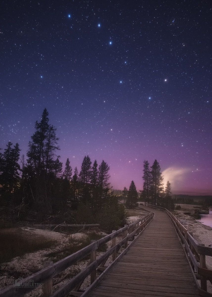 forallcurious's tweet image. The Big Dipper constellation✨