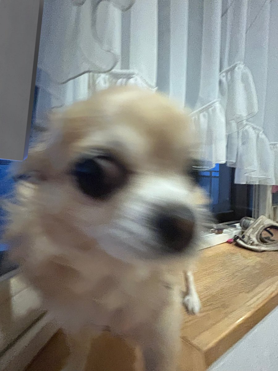 豆助@アニランド (@mame_aniland) / X