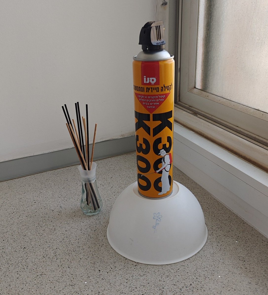 יום 6
הצהרת כוונות (אך עם הושטת יד לשלום)