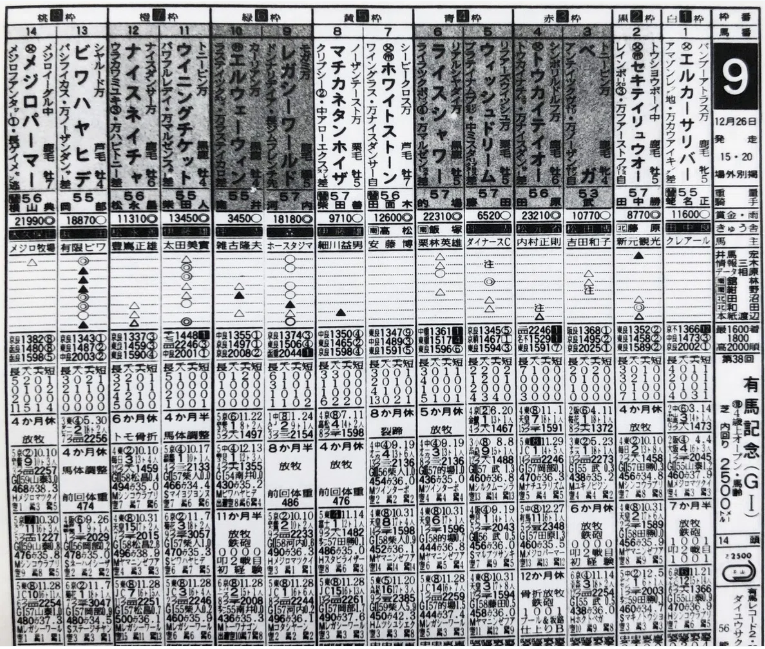 ナイスネイチャ
-シニア級　G1 有馬記念　勝利-