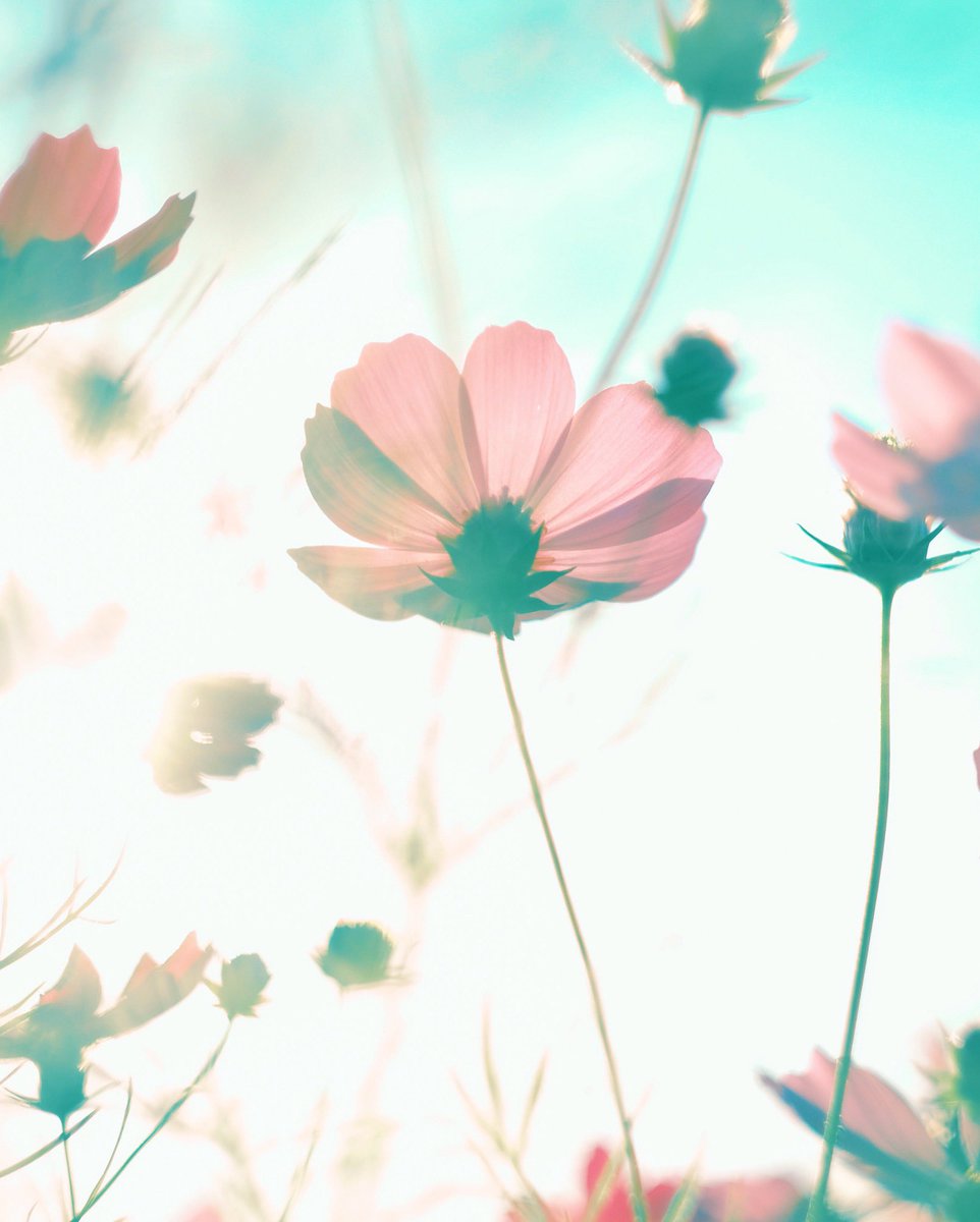 noco3n_com's tweet image. autumn vibes.