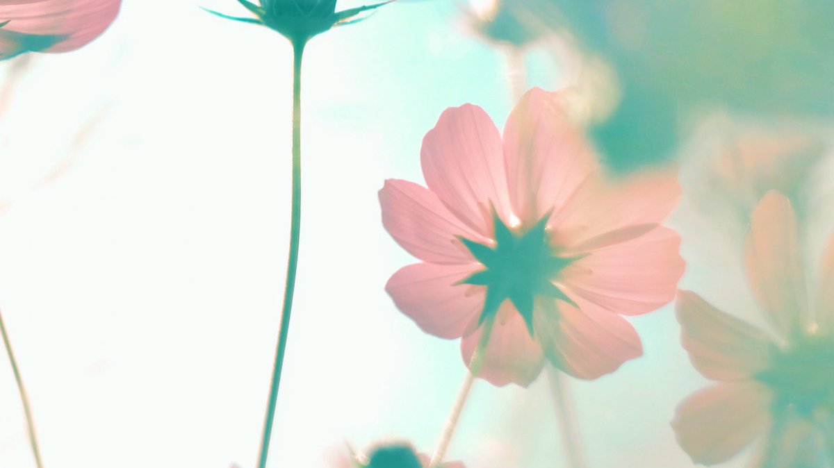 noco3n_com's tweet image. autumn vibes.