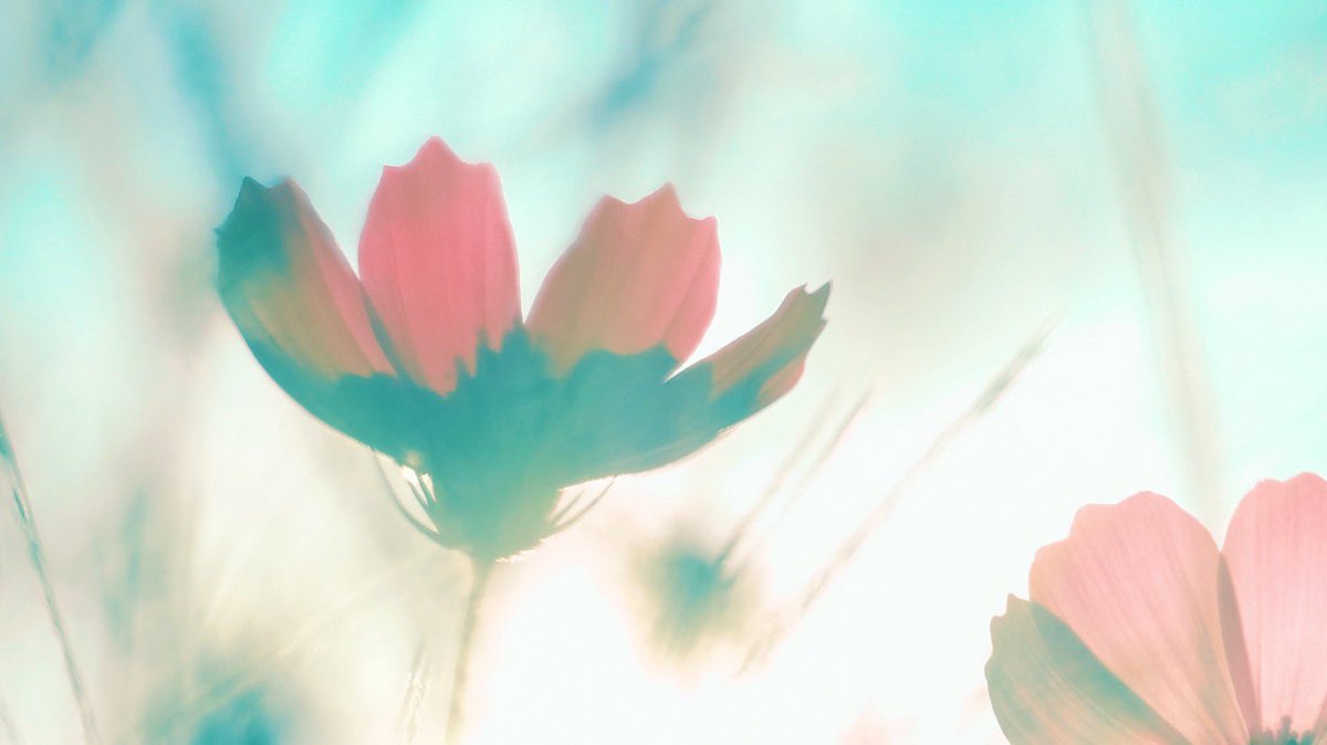 noco3n_com's tweet image. autumn vibes.