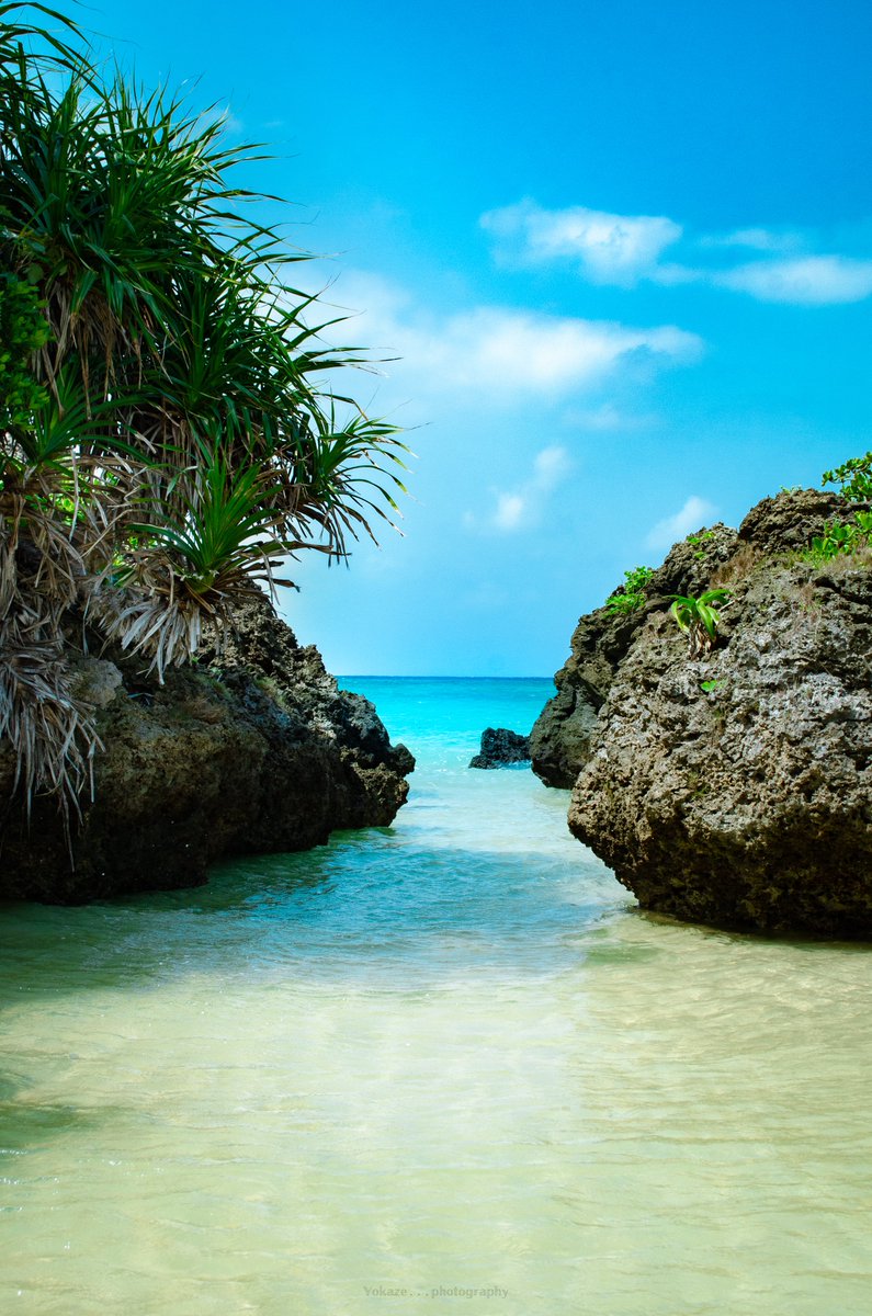夏の扉が閉まってしまいそうな風景。