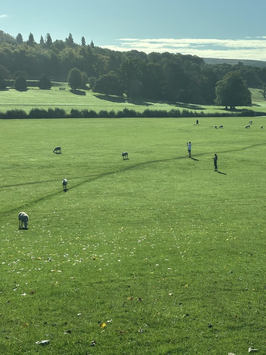 Gyles Brandreth tweet media