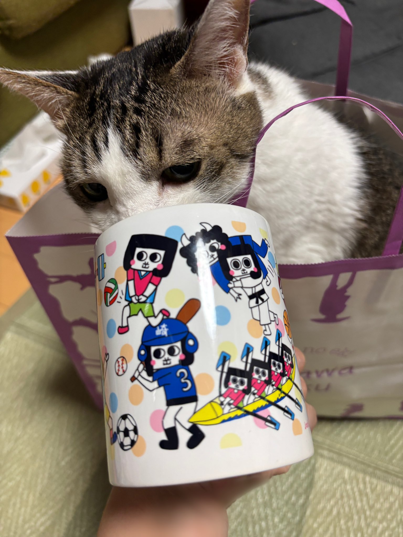 オカザエモン20個セットお得です！岡崎市ご当地キャラ　光をあててねフリフリするよ オカザエモン20個セットお得です！岡崎市ご当地キャラ 光をあてて