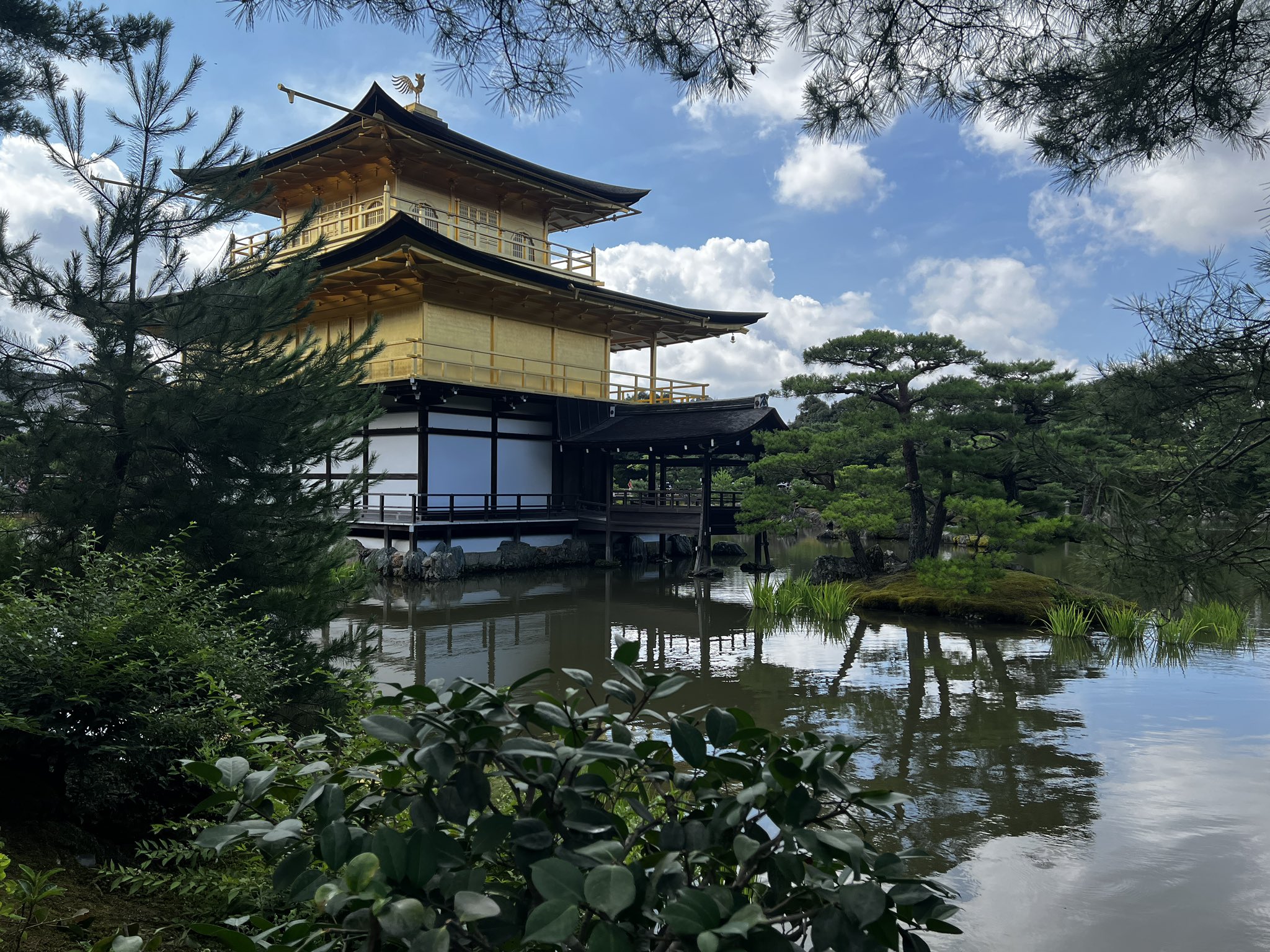 ゆらさん　皇居二重橋、姫路城、京都東寺の三点セット 高橋久美子 on X: 