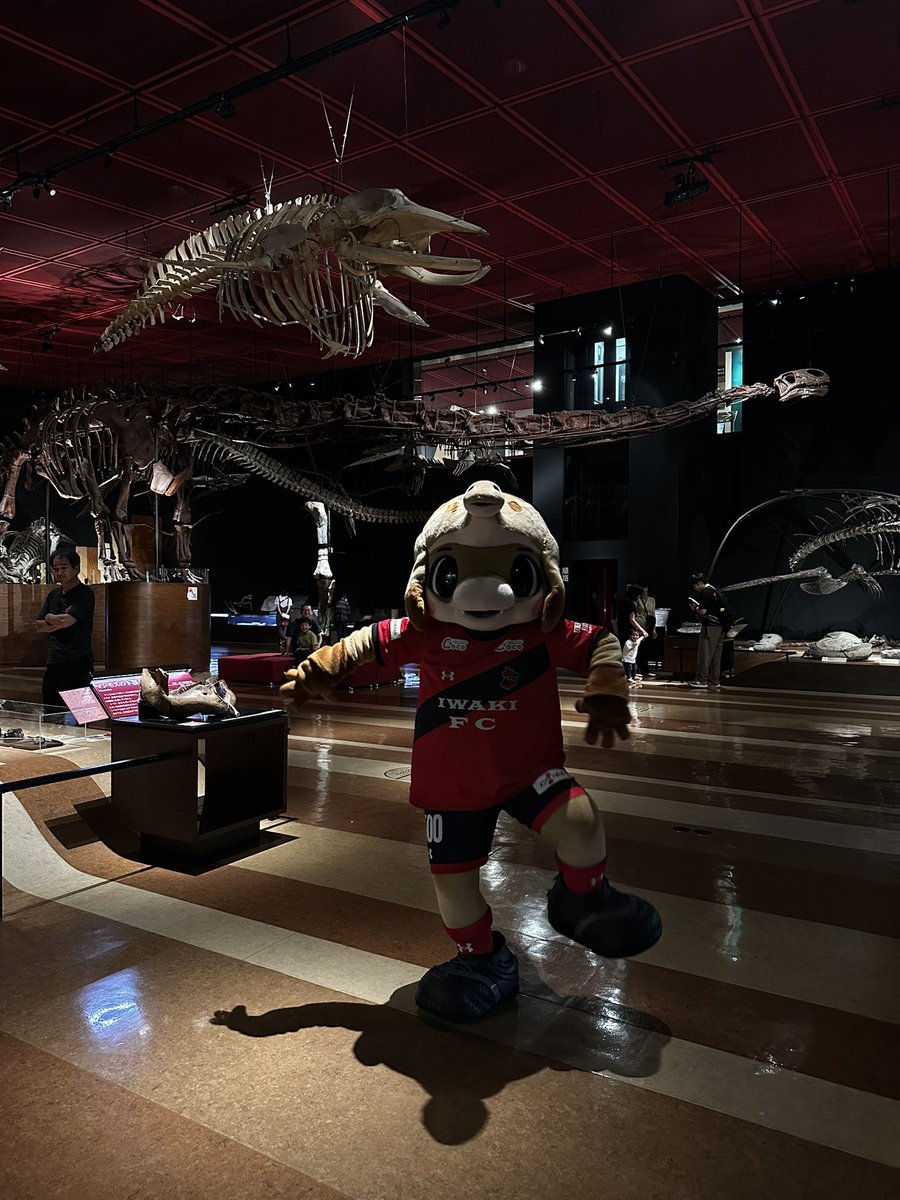 📌 いわき市石炭・化石館 ほるる