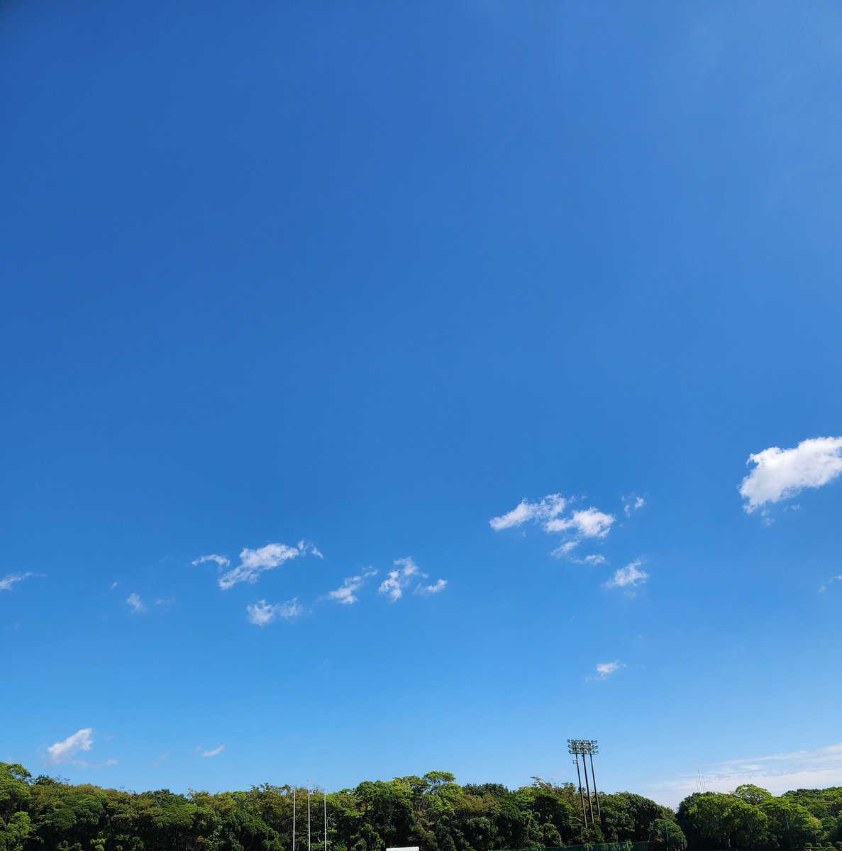 はいみるきぃ tweet media