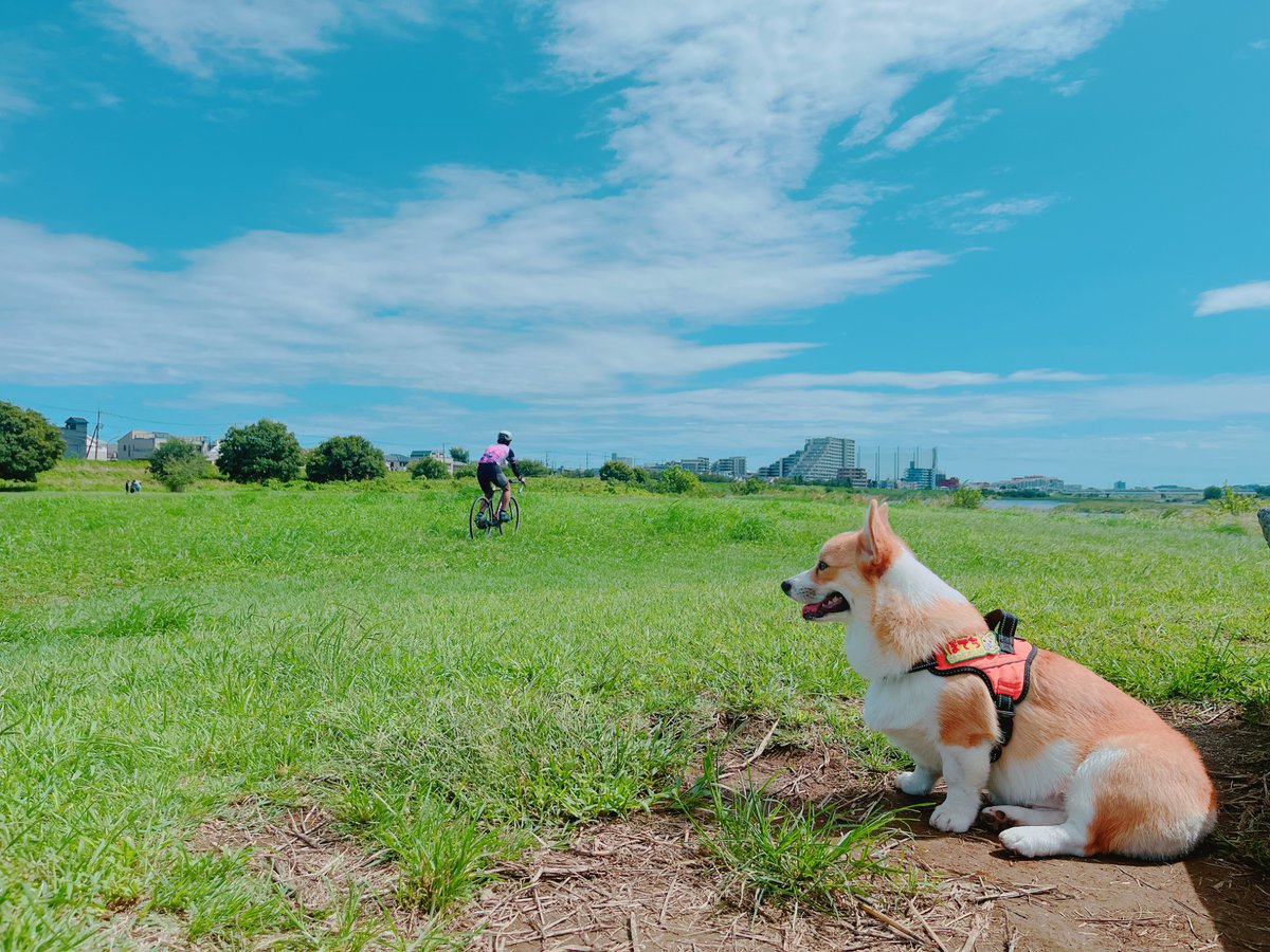 昨日はカート大運動会 今日は自転車練習に初参加 引きこもり系作家のはずなのに。