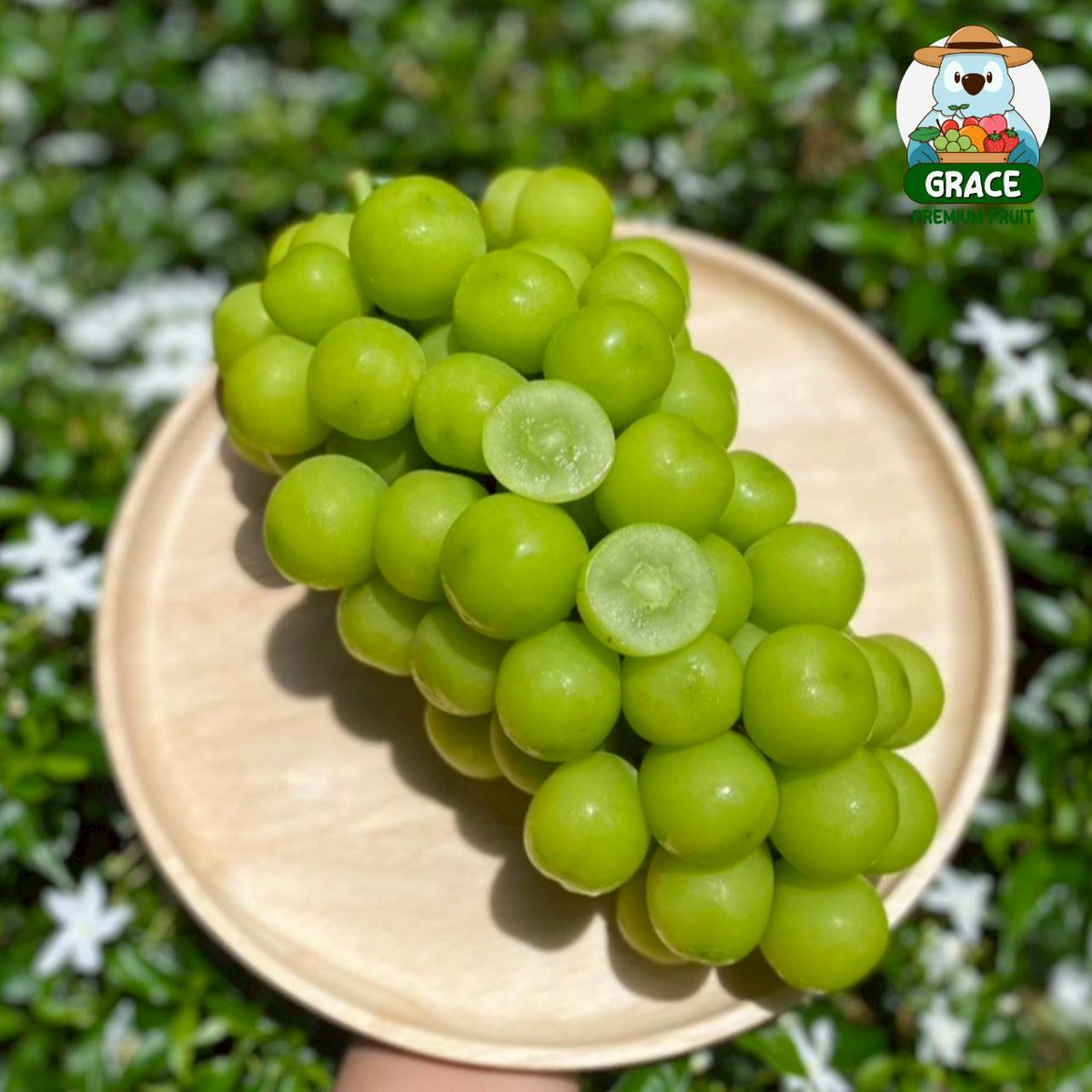 Gpremiumfruits's tweet photo. ไซส์จัมโบ้ ส่วนใหญ่จะได้ช่อแน่นๆสวยๆแบบนี้เลย ช่อสวยม๊ากกก https://t.co/XqIwT0MTY6