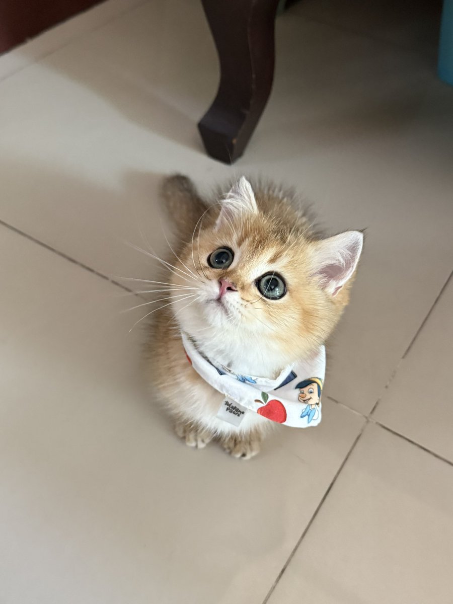 yoojeenoo's tweet image. ชาตรี แล้วจะไปกลัวเค้าทำไม ชั้นให้เค้ามาเป็นลูกกระจ๊อกแก55555555555555555555