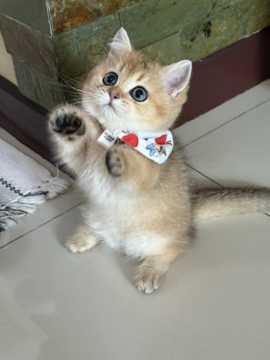 yoojeenoo's tweet image. ชาตรี แล้วจะไปกลัวเค้าทำไม ชั้นให้เค้ามาเป็นลูกกระจ๊อกแก55555555555555555555