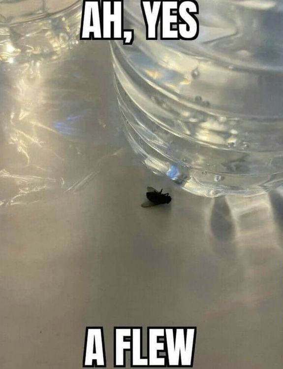 hourly_shitpost's tweet image. 