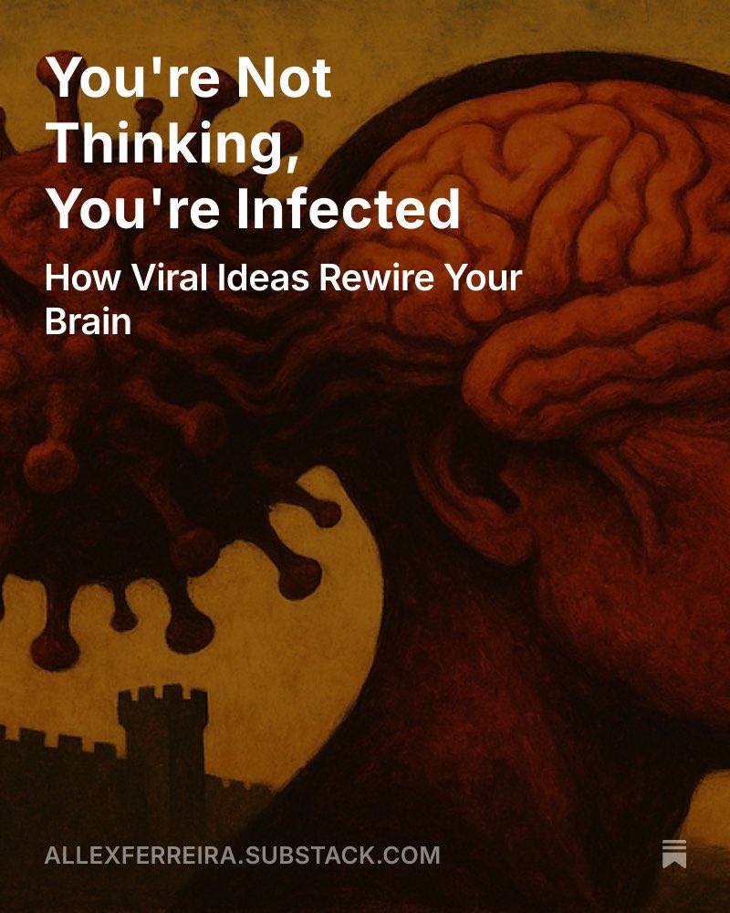 open.substack.com/pub/allexferre…