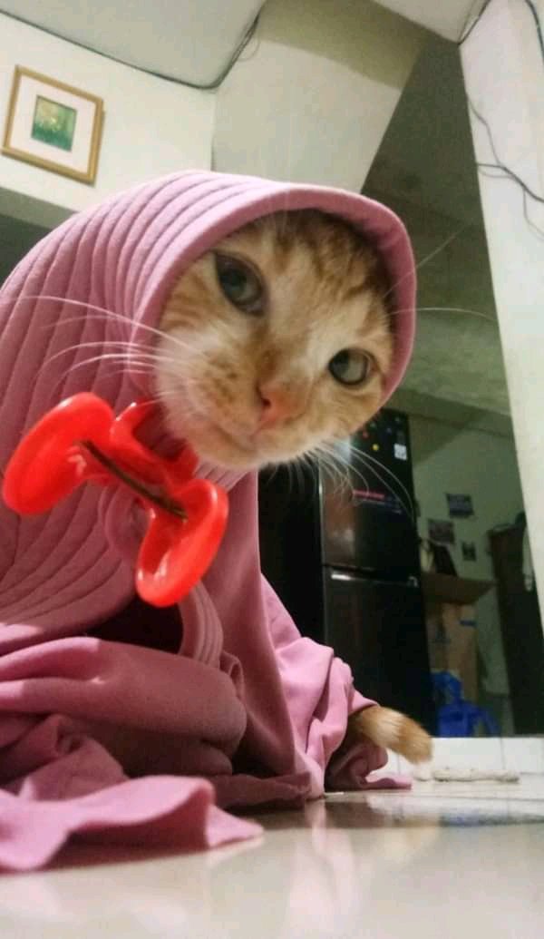 harini gw dtg temen sm mantan crush gw tunangan