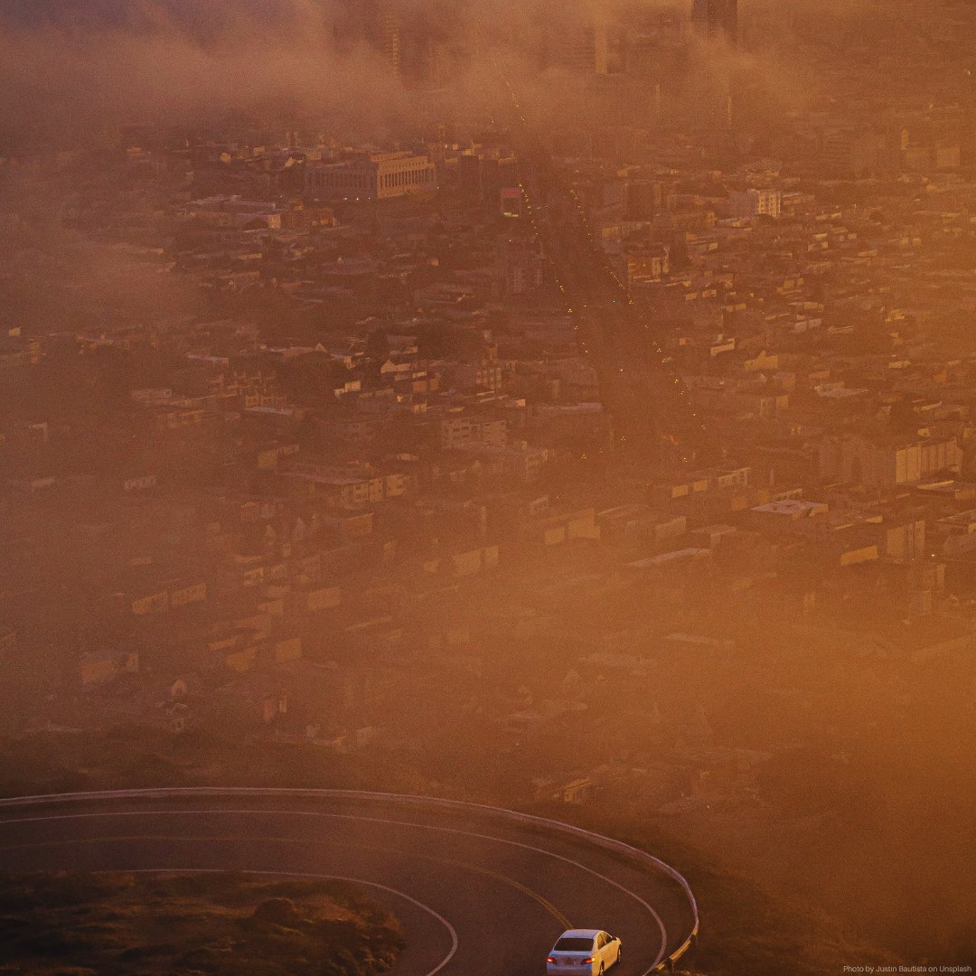 A peaceful world is a world where:

Mountain Gorillas, Bengal Tigers and many more species are no longer endangered

Global temperatures are no longer rising

No one's health is threatened by air pollution

The ocean is protected

This #PeaceDay is a reminder to act for a healthy