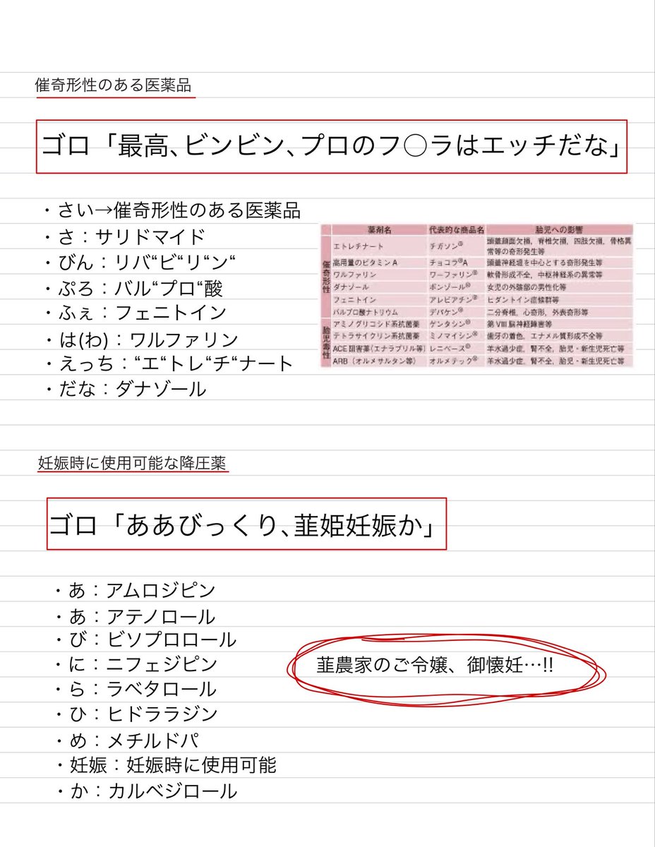 薬学 まとめ売り 松廼屋｜論点解説 薬剤師国家試験対策ノート問 108-109【化学